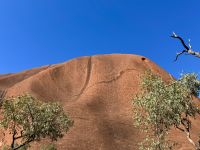 10. Tag: Erkundungen am Uluru – Spaziergang zum Mutitjulu-Wasserloch