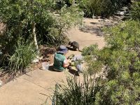 21. Tag: Wildlife Retreat im Taronga Zoo – Fütterung
