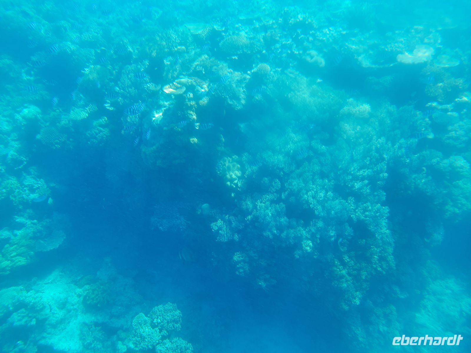 Bilder aus dem Mini-U-Boot &ndash; &copy; Gunter Looß (Eberhardt TRAVEL)