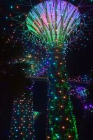 Lichtshow auch an den Supertrees &ndash; &copy; Gunter Looß (Eberhardt TRAVEL)