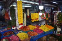 Little India Blumenketten &ndash; &copy; Gunter Looß (Eberhardt TRAVEL)