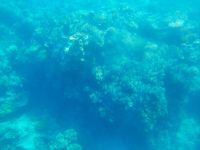 Bilder aus dem Mini-U-Boot &ndash; &copy; Gunter Looß (Eberhardt TRAVEL)