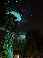 Beleuchtete Gartenlandschaft - Singapur &ndash; &copy; Manuel González Urrutia (Eberhardt TRAVEL)