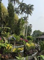 Tropischer Garten - Singapur &ndash; &copy; Manuel González Urrutia (Eberhardt TRAVEL)