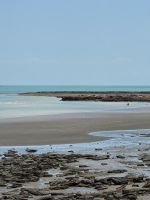 Küstenlandschaft - East Point - Northern Territory - Australien &ndash; &copy; Manuel González Urrutia (Eberhardt TRAVEL)