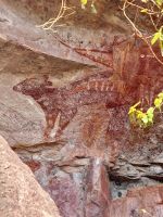 Höhlenmalerei - Gunbalanya - NT - Australien
