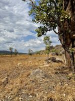 Landschaft mit Bäumen - Gunbalanya - NT - Australien &ndash; &copy; Manuel González Urrutia (Eberhardt TRAVEL)