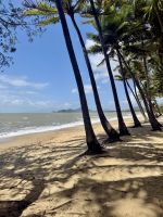 Strandpalmen - Palm Cove - Queensland - Australien &ndash; &copy; Manuel González Urrutia (Eberhardt TRAVEL)