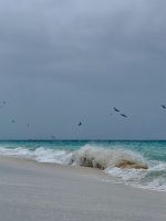 Strandwellen - Australien &ndash; &copy; Manuel González Urrutia (Eberhardt TRAVEL)