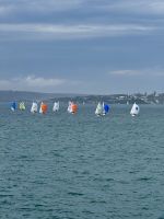 Segelboote - Point Piper - New South Wales - Australien &ndash; &copy; Manuel González Urrutia (Eberhardt TRAVEL)