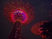 Supertree, Garden Rhapsody, Singapur