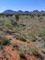 Blick auf die Kata Tjuta, Australien &ndash; &copy; Julian Bartsch (Eberhardt TRAVEL)