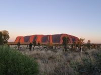 Uluru bei Sonnenaufgang, Australien &ndash; &copy; Julian Bartsch (Eberhardt TRAVEL)