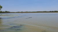 Krokodil im Yellow River, Kakadu-Nationalpark, Australien &ndash; &copy; Julian Bartsch (Eberhardt TRAVEL)
