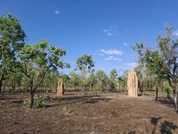 Termitenhügel, Australien &ndash; &copy; Julian Bartsch (Eberhardt TRAVEL)