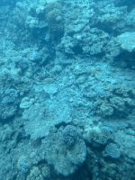 Great Barrier Reef, Australien &ndash; &copy; Julian Bartsch (Eberhardt TRAVEL)