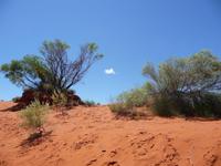 Outback &ndash; &copy; Ralf Mehnert (Eberhardt TRAVEL)