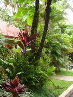 Kuranda &ndash; &copy; Ralf Mehnert (Eberhardt TRAVEL)