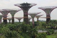 Gardens by the Bay &ndash; &copy; Elisa Müller (Eberhardt TRAVEL)