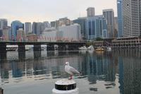 Darling Harbour &ndash; &copy; Elisa Müller (Eberhardt TRAVEL)