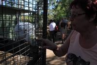 Featherdale Wildlife Park &ndash; &copy; Elisa Müller (Eberhardt TRAVEL)