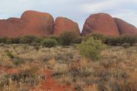 Die Olgas - Kata Tjuta  &ndash; &copy; Elisa Müller (Eberhardt TRAVEL)