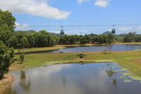 Skyrail Atherton Tablelands &ndash; &copy; Elisa Müller (Eberhardt TRAVEL)