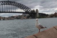 Sydney &ndash; &copy; Martin Jentzsch (Eberhardt TRAVEL)