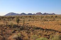 Blick auf Kata Tjuta &ndash; &copy; Martin Jentzsch (Eberhardt TRAVEL)