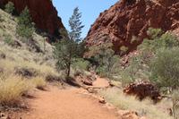 Western Macdonnell Ranges – Simpsons Gap &ndash; &copy; Martin Jentzsch (Eberhardt TRAVEL)