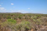 Kakadu-Nationalpark – Arnhemland-Safari – Wanderung Injalak Hill &ndash; &copy; Martin Jentzsch (Eberhardt TRAVEL)