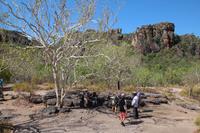 Kakadu-Nationalpark – Anbangbang Billabong &ndash; &copy; Martin Jentzsch (Eberhardt TRAVEL)