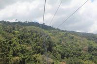 Cairns – Skyrail &ndash; &copy; Martin Jentzsch (Eberhardt TRAVEL)