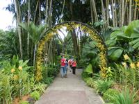 Orchideengarten Singapur &ndash; &copy; Manuela Kreuz (Eberhardt TRAVEL)