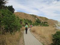 Kaikura &ndash; &copy; Manuela Kreuz (Eberhardt TRAVEL)