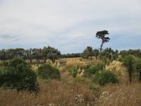 Kaikura &ndash; &copy; Manuela Kreuz (Eberhardt TRAVEL)