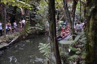 Maori Show &ndash; &copy; Manuela Kreuz (Eberhardt TRAVEL)