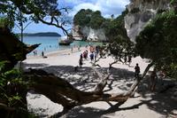 Wanderung Cathedral Cove &ndash; &copy; Manuela Kreuz (Eberhardt TRAVEL)