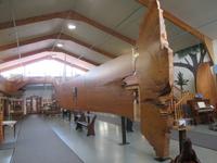 Kauri-Museum in Matakohe &ndash; &copy; Manuela Kreuz (Eberhardt TRAVEL)
