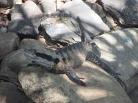 im Wildlife Park &ndash; &copy; Manuela Kreuz (Eberhardt TRAVEL)