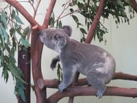 im Wildlife Park &ndash; &copy; Manuela Kreuz (Eberhardt TRAVEL)