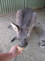im Wildlife Park &ndash; &copy; Manuela Kreuz (Eberhardt TRAVEL)