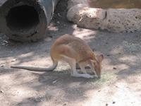 im Wildlife Park &ndash; &copy; Manuela Kreuz (Eberhardt TRAVEL)