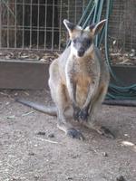 im Wildlife Park &ndash; &copy; Manuela Kreuz (Eberhardt TRAVEL)