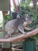 im Wildlife Park &ndash; &copy; Manuela Kreuz (Eberhardt TRAVEL)