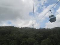 Skyrail Gondel &ndash; &copy; Manuela Kreuz (Eberhardt TRAVEL)