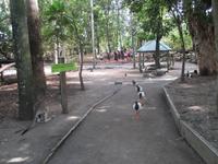 Rainforest Habitat Wildlife Park &ndash; &copy; Manuela Kreuz (Eberhardt TRAVEL)