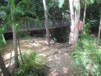 Rainforest Habitat Wildlife Park &ndash; &copy; Manuela Kreuz (Eberhardt TRAVEL)