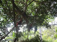 Rainforest Habitat Wildlife Park &ndash; &copy; Manuela Kreuz (Eberhardt TRAVEL)