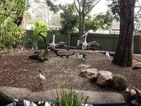 Featherdale Wildlife Park  &ndash; &copy; Rebekka Böhme (Eberhardt TRAVEL)